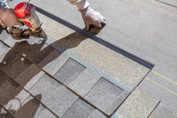 Best Residential Roofing Contractor  in River Ridge, LA